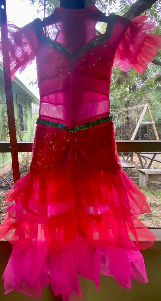Carnivale Ruffled Sequined Dress #41