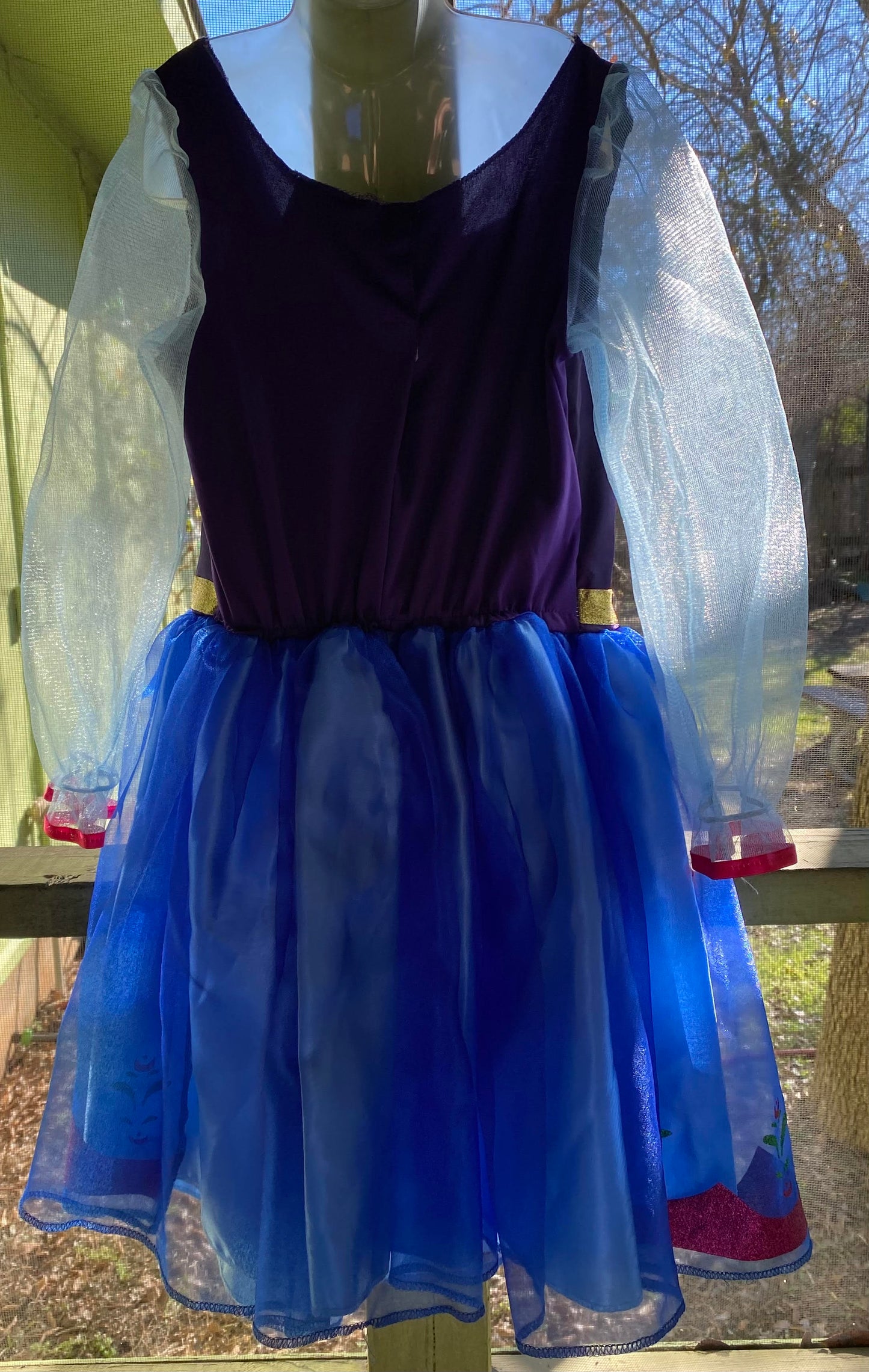 Disney Princess Cinderella Blues & Purples w/ Gold Edge Braiding & Cameo Pin  Child S   #119